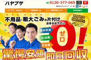 ハヤブサ