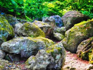 庭石の処分方法5選と費用相場!撤去・捨てるときの注意点も徹底解説