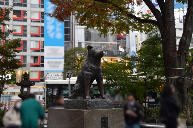 渋谷区でおすすめの廃品回収業者は？