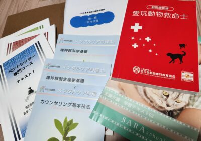 教科書の捨て方と注意点を解説！学年・進学状況別捨てるタイミングも紹介