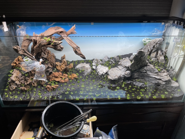 【7通り】水槽の捨て方を解説！