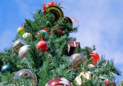 クリスマスツリーは何ゴミ？基本の捨て方や電飾の処分方法&注意点も解説