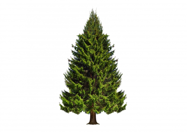 【素材別】クリスマスツリーの本体は何ゴミ?